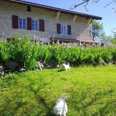 Chambre D'Hotes La Haie Fleurie Chevillard Esterno foto